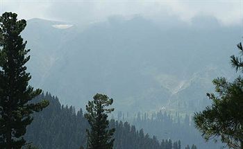 Hotel Zahgeer Continental Gulmarg Extérieur photo